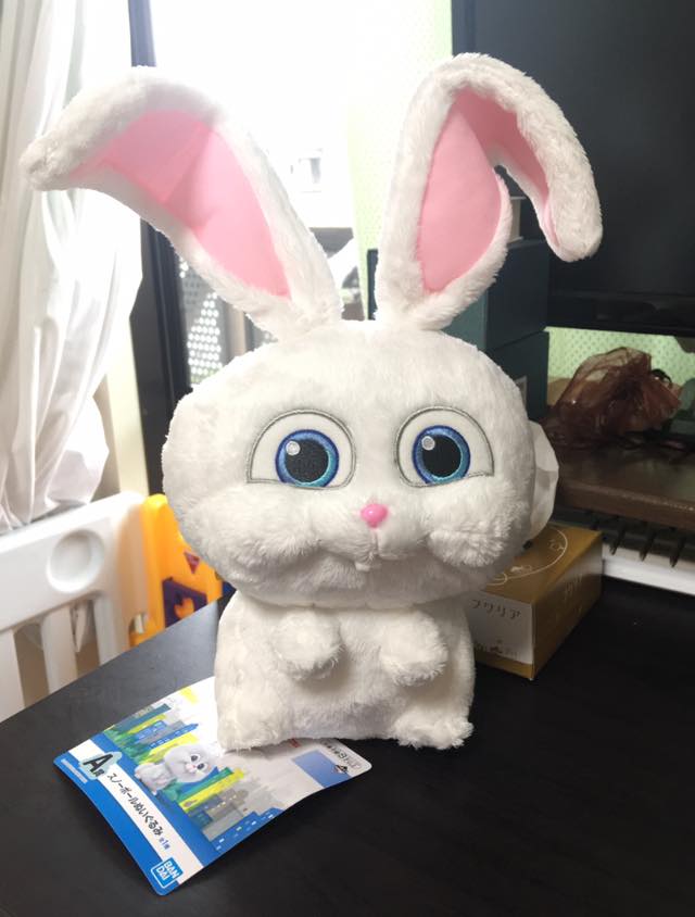 かわいいうさぎのぬいぐるみ(A Lovely Rabbit)