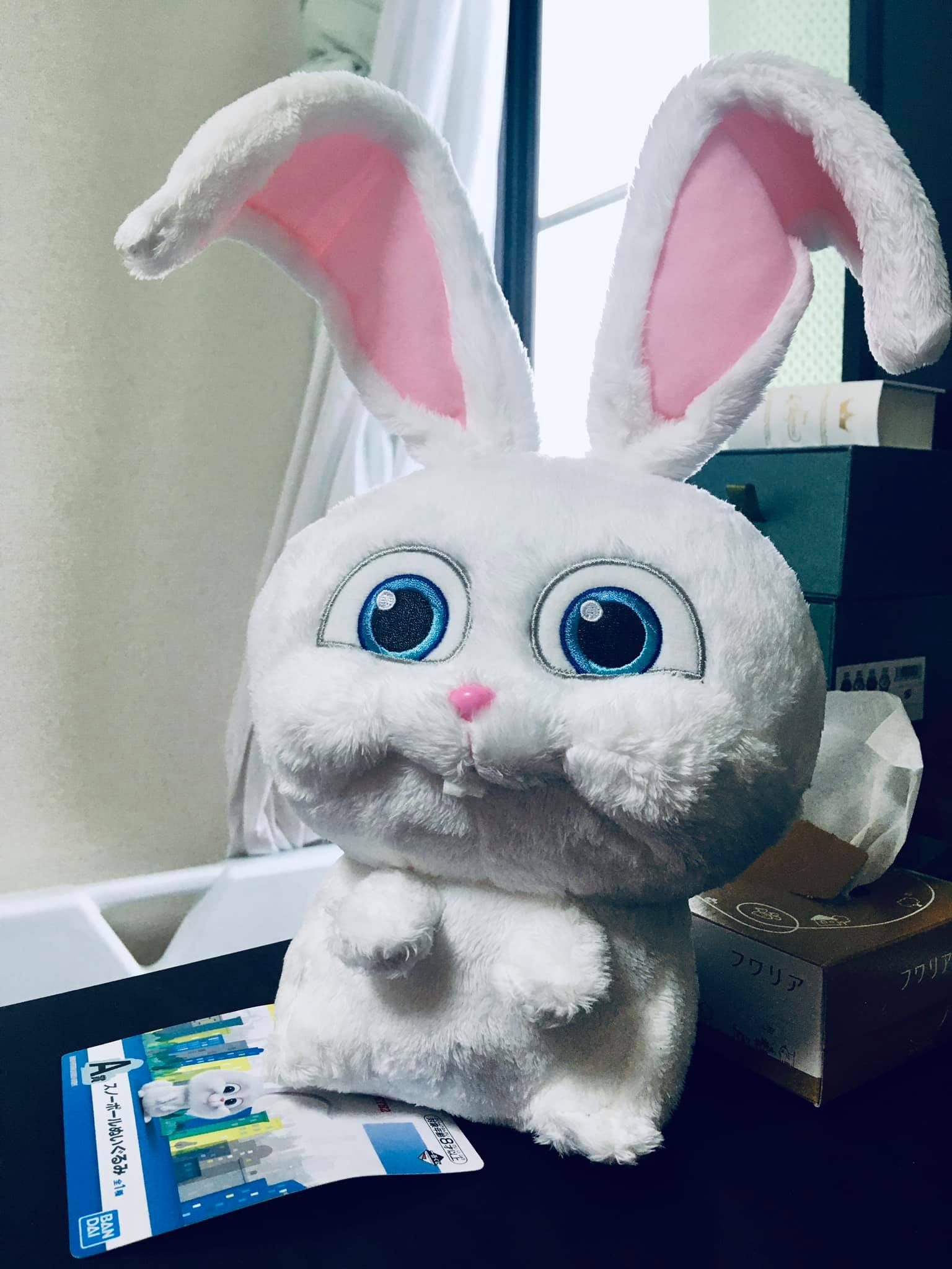 かわいいうさぎのぬいぐるみ(A Lovely Rabbit)