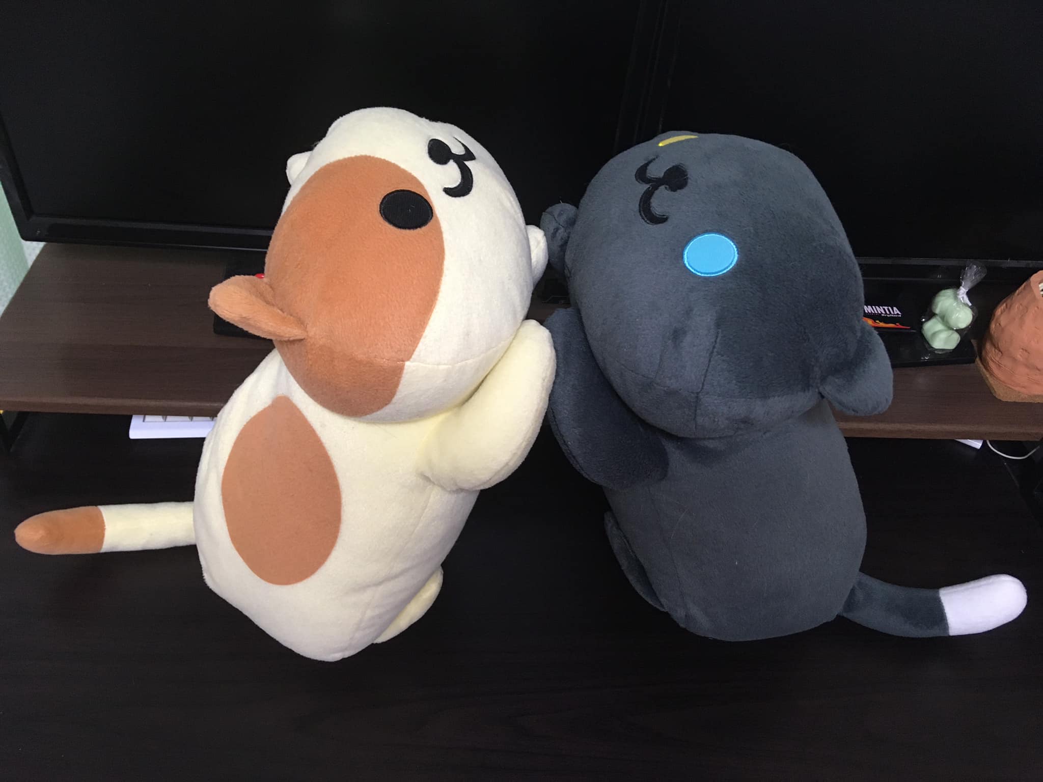 かわいい猫のぬいぐるみ(Lovely Cat stuffed animal)