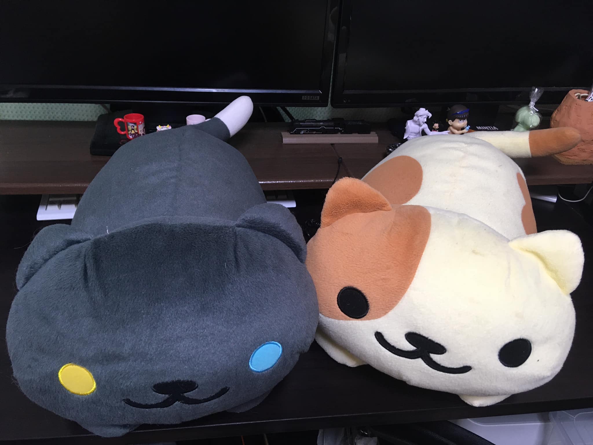 かわいい猫のぬいぐるみ(Lovely Cat stuffed animal)